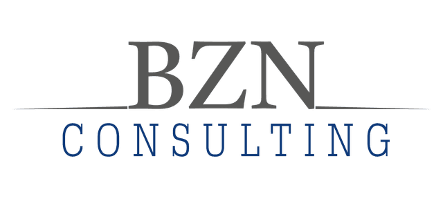 BZN Consulting Logo